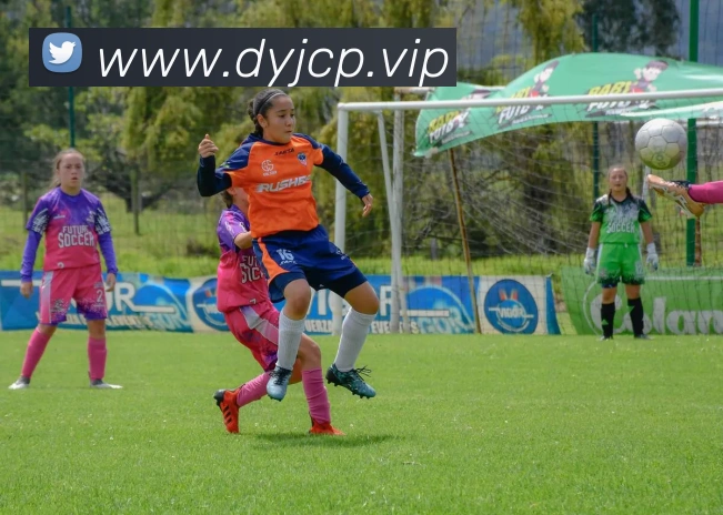 德赢vwin官网平台生态图